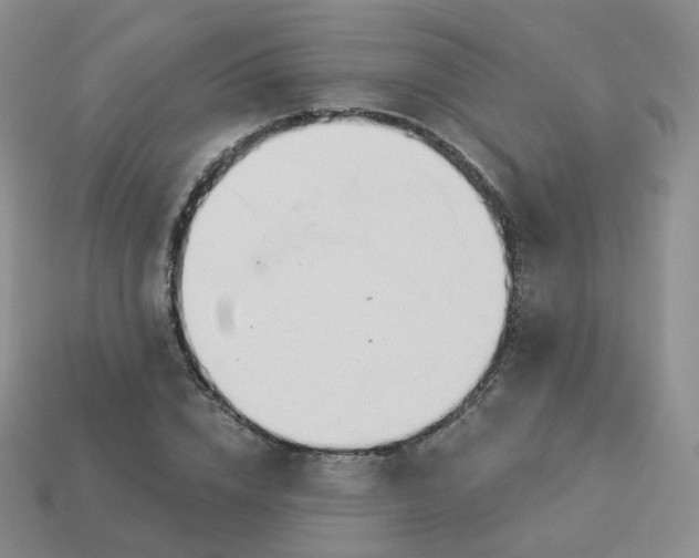 X0000114020832200910161755