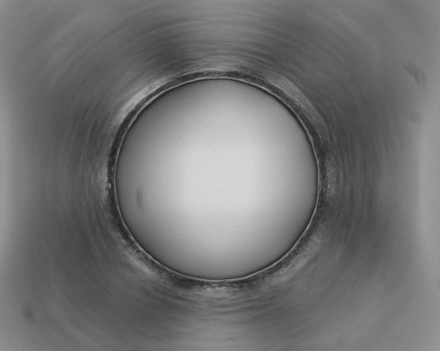 X0000114020834200910161755