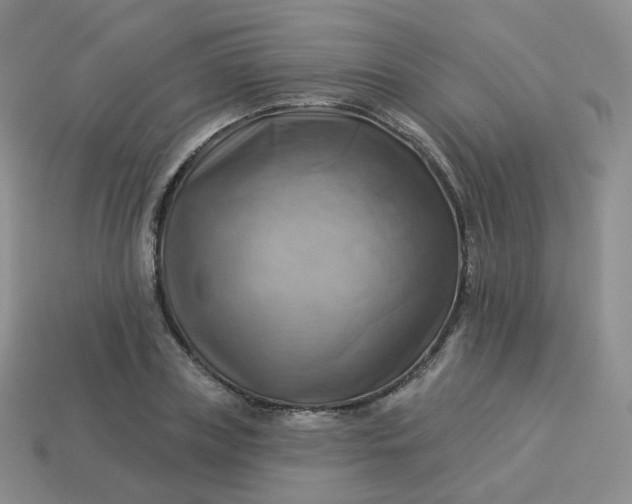 X0000114020835200910161755