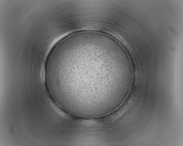 X0000114020838200910161755