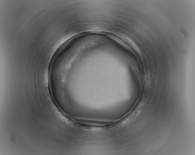 X0000114020839200910161755