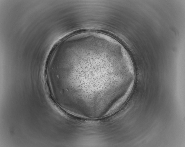 X0000114020840200910161755