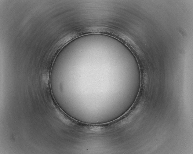 X0000114020841200910161755