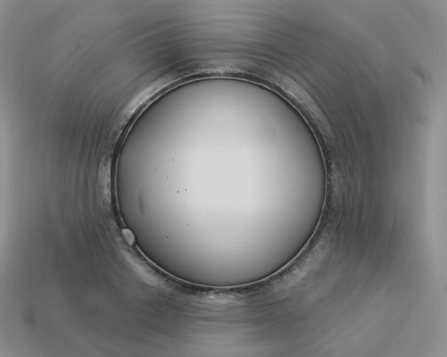 X0000114020842200910161755