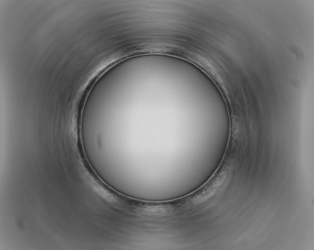 X0000114020843200910161755