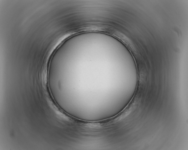 X0000114020844200910161755