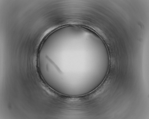 X0000114020846200910161755