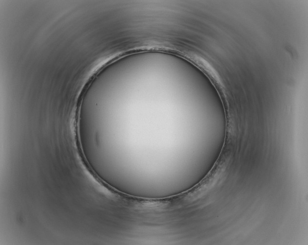 X0000114020847200910161755