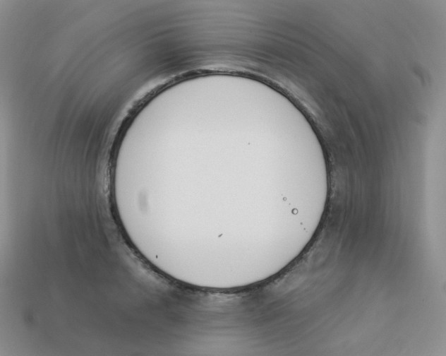 X0000114020848200910161755