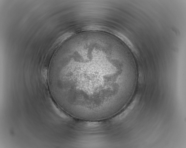 X0000114020849200910161755