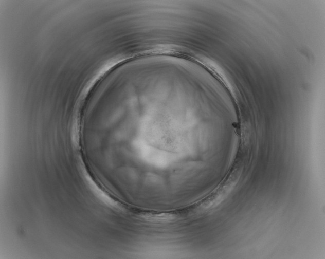 X0000114020851200910161755