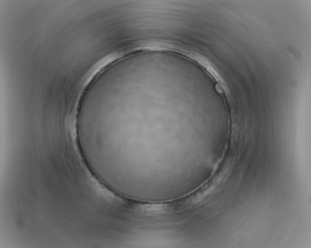 X0000114020853200910161755