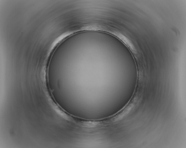 X0000114020854200910161755