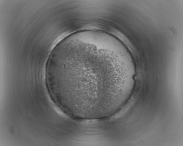 X0000114020858200910161755