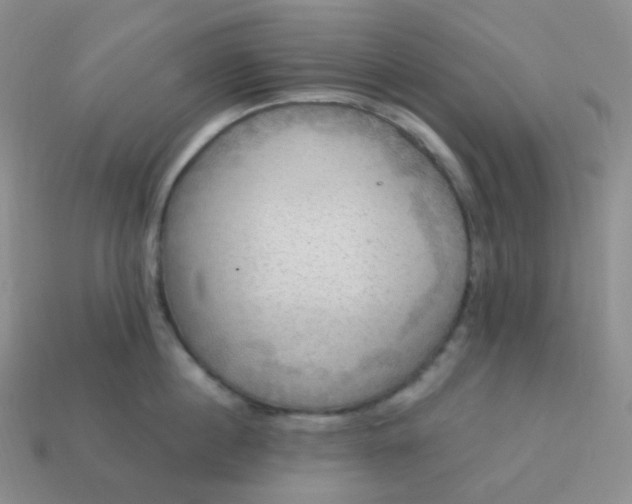 X0000114020860200910161755