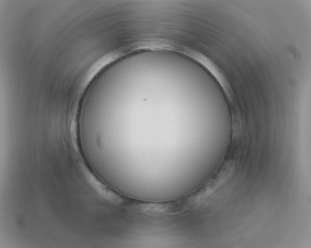 X0000114020861200910161755