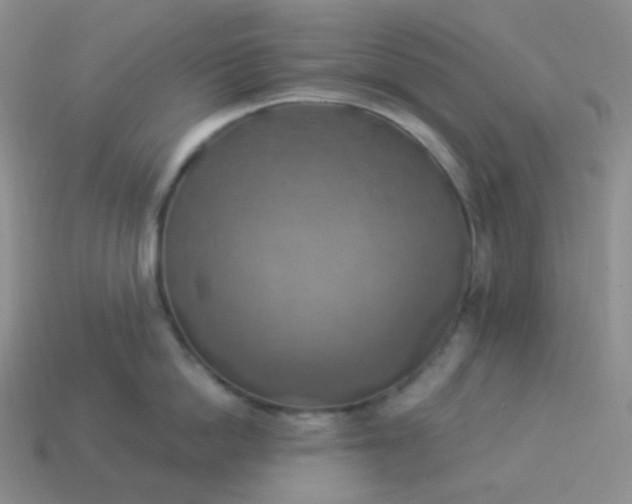 X0000114020862200910161755