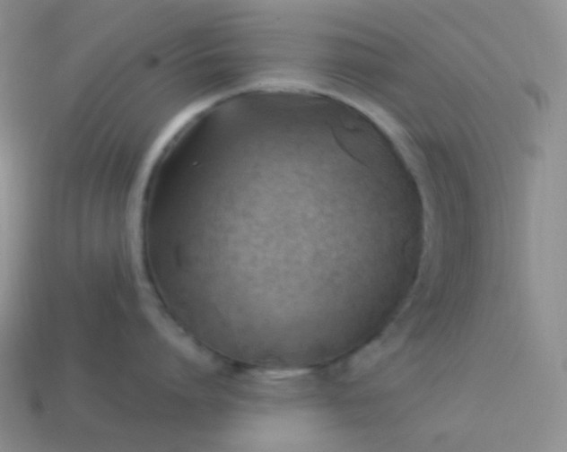 X0000114020864200910161755