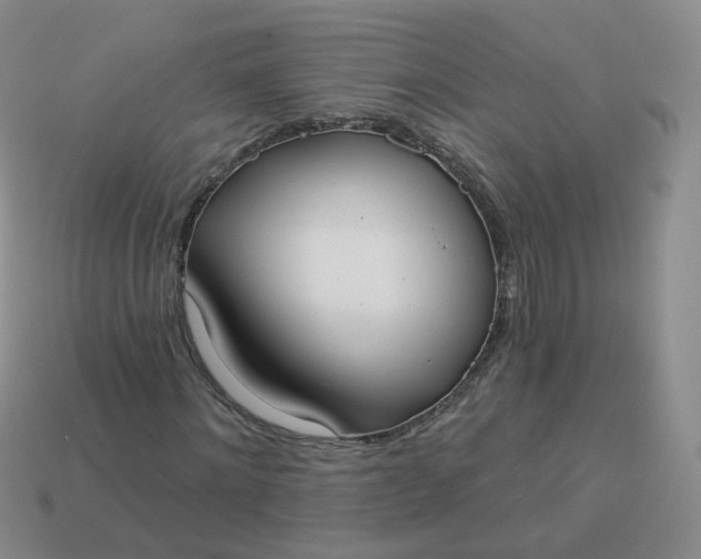 X0000114020868200910161754