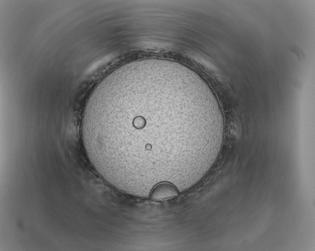 X0000114020869200910161754