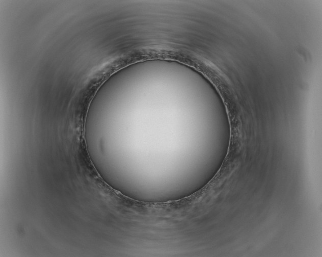 X0000114020870200910161754