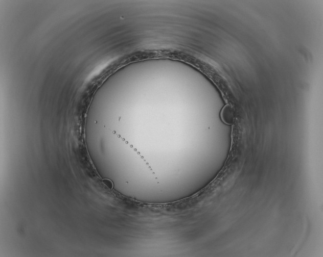 X0000114020871200910161754