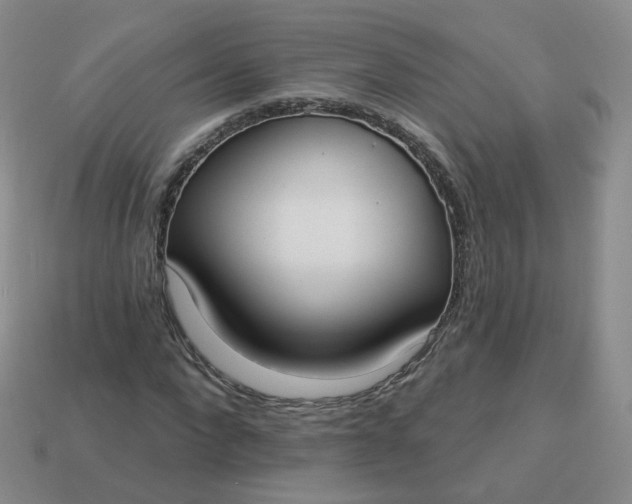 X0000114020872200910161754