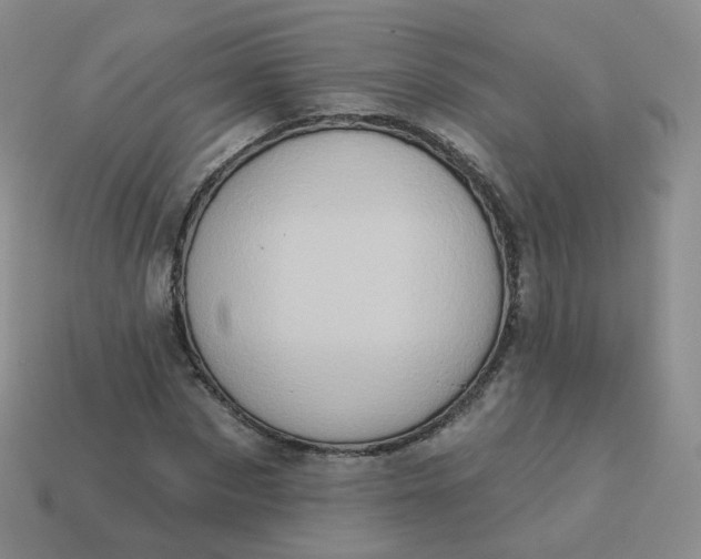 X0000114020873200910161754