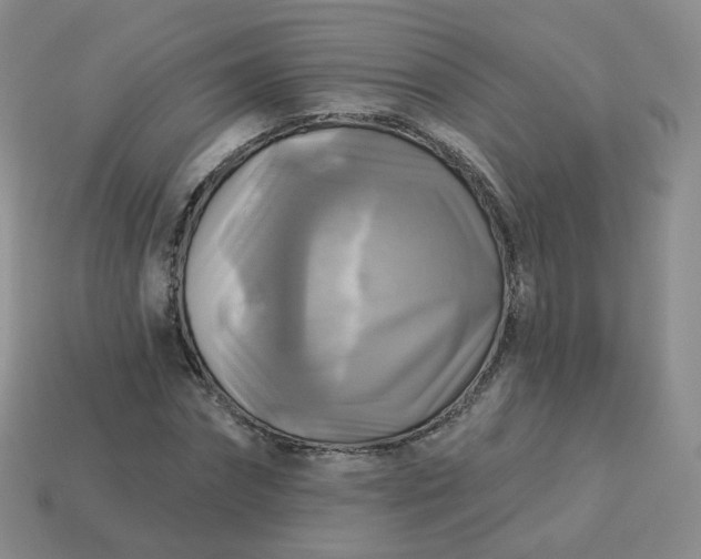 X0000114020874200910161754