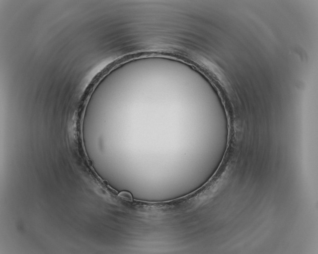 X0000114020875200910161754