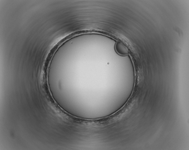 X0000114020876200910161754