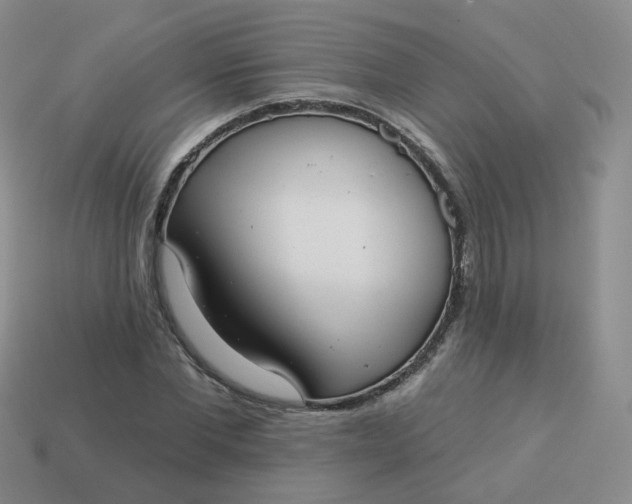 X0000114020877200910161754