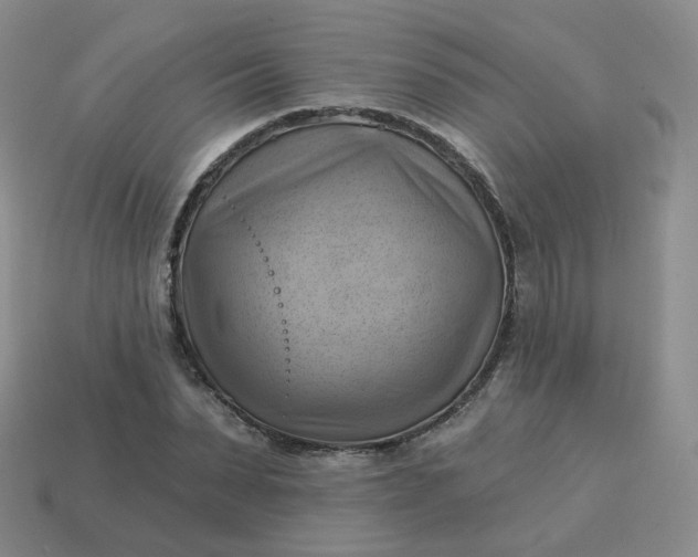 X0000114020879200910161754