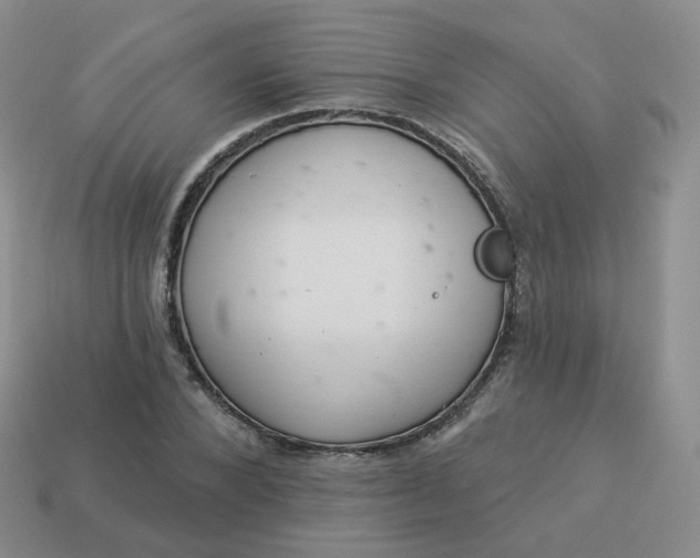 X0000114020880200910161754