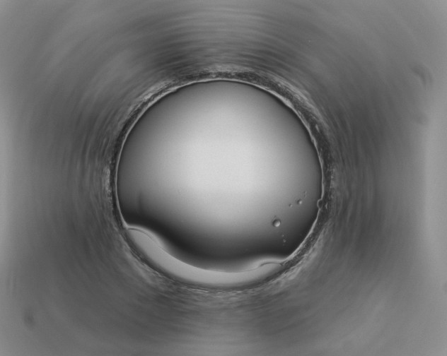 X0000114020881200910161754