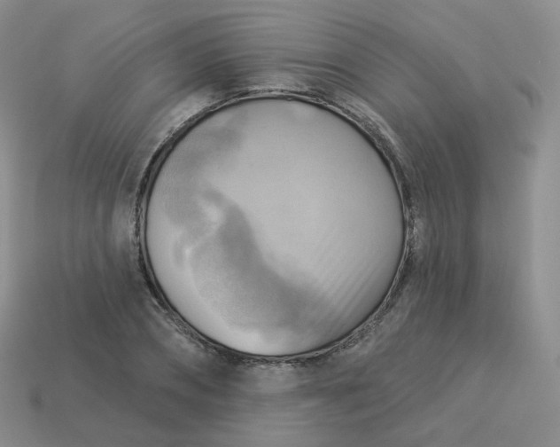 X0000114020882200910161754