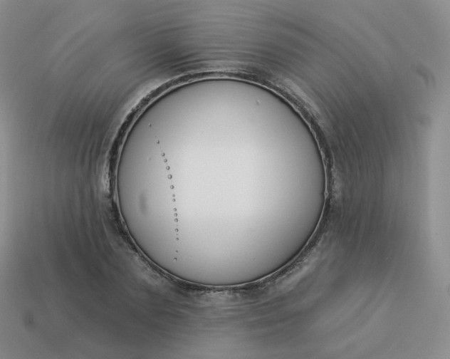 X0000114020883200910161754