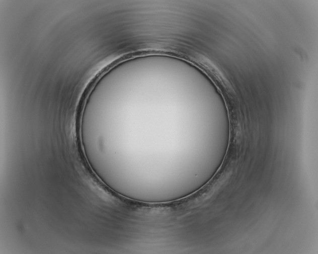 X0000114020884200910161754