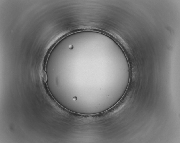 X0000114020885200910161754