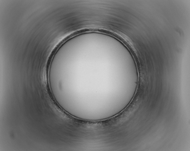 X0000114020887200910161754