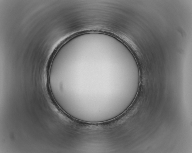 X0000114020888200910161754