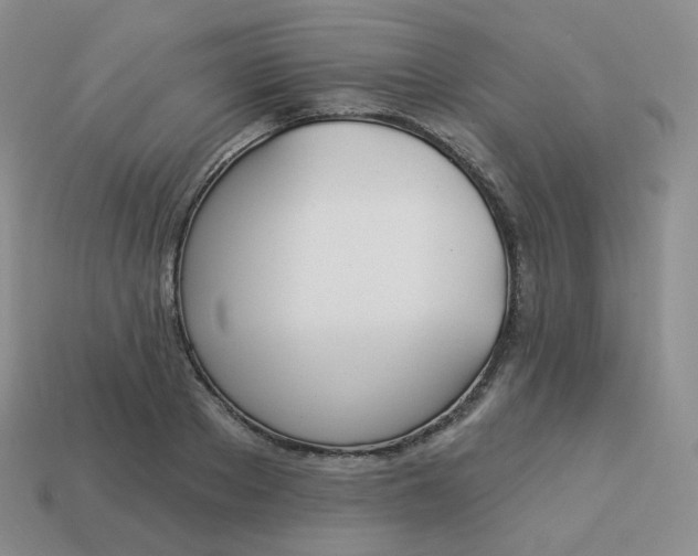 X0000114020889200910161754