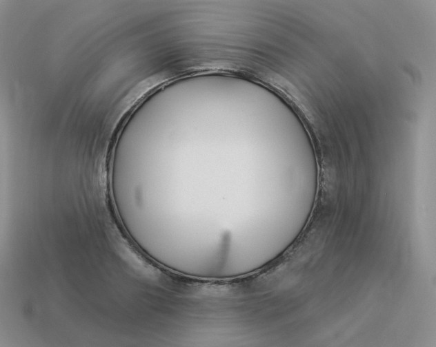 X0000114020890200910161754