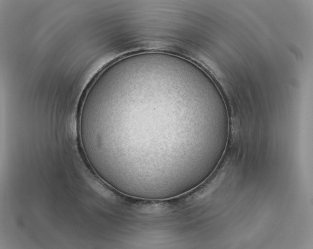 X0000114020891200910161754