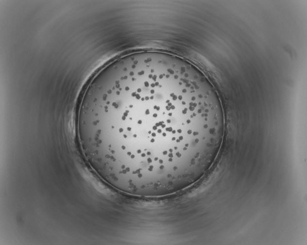 X0000114020892200910161754