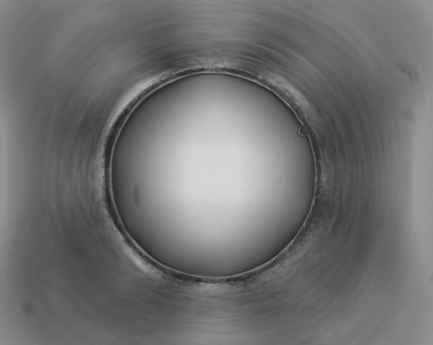 X0000114020894200910161754