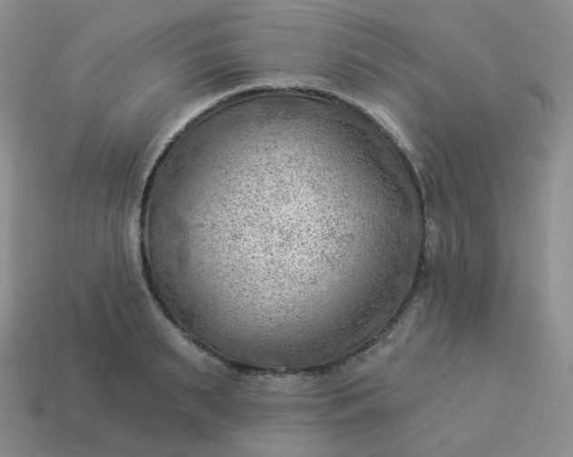 X0000114020895200910161754