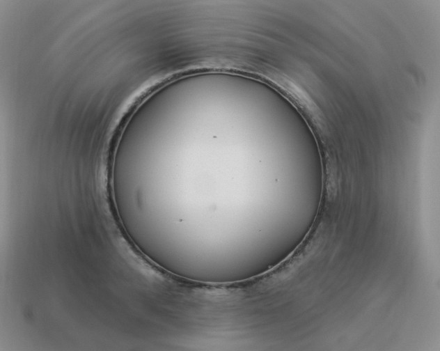 X0000114020896200910161754