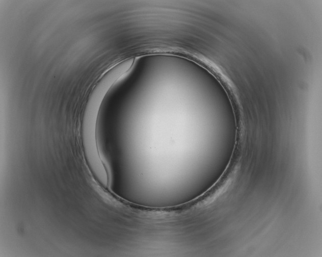 X0000114020897200910161754