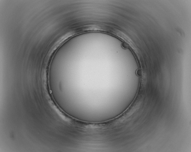 X0000114020898200910161754